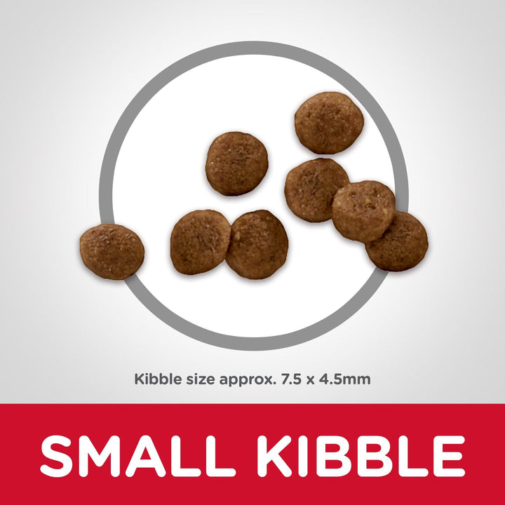 Hill's Science Diet Puppy Small Paws Dry Dog Food 1.5kg - Just For Pets Australia