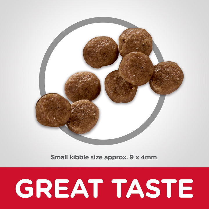 Hill's Science Diet Adult Healthy Mobility Small Bites Dry Dog Food - Just For Pets Australia