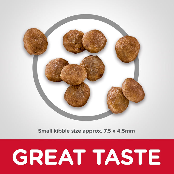 Hill's Science Diet Adult Small Paws Dry Dog Food 1.5kg - Just For Pets Australia