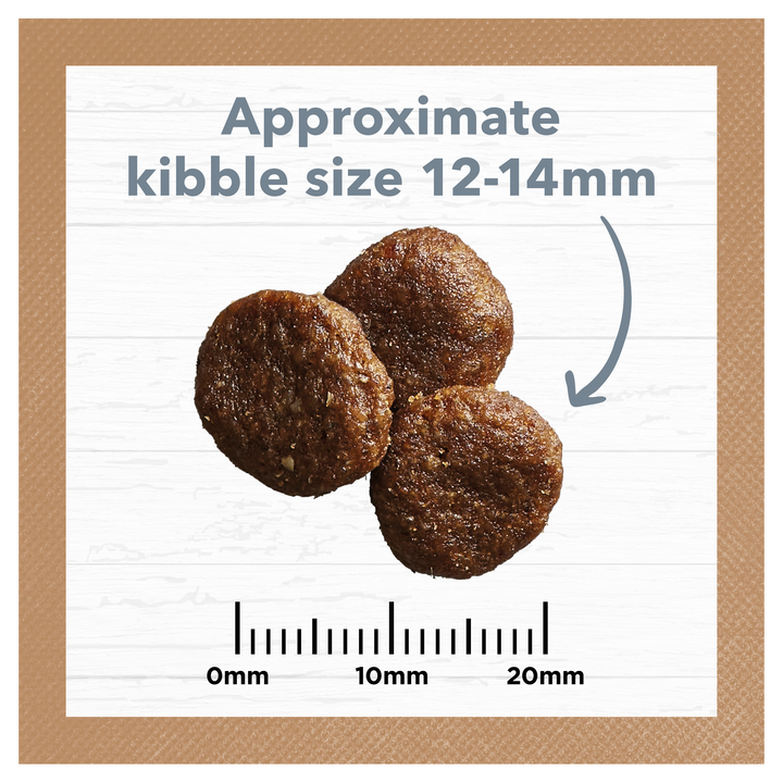 Ivory Coat Lamb & Sardine Grain Free Dry Dog Food