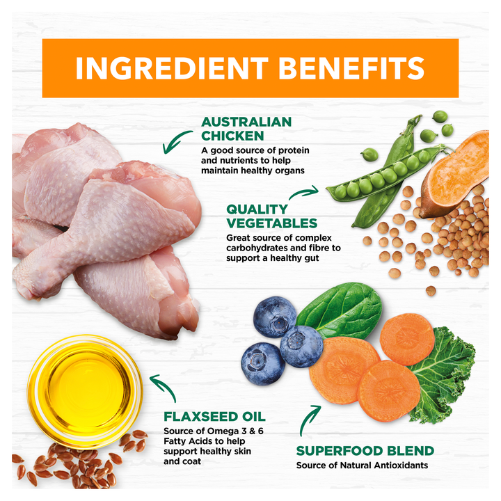 Ivory Coat Grain Free Adult Wet Dog Food Chicken Stew 12x400g