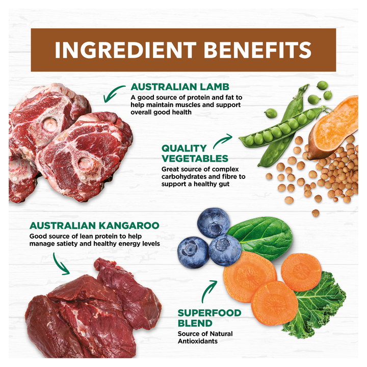 Ivory Coat Lamb and Kangaroo Stew Grain Free Wet Dog Food 12x400g