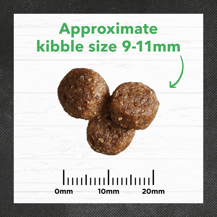 Ivory Coat Lamb & Brown Rice Dry Puppy Food