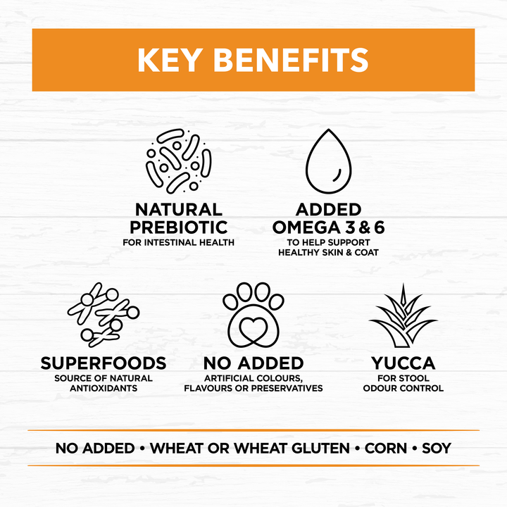 Ivory Coat Chicken & Brown Rice Dry Dog Food