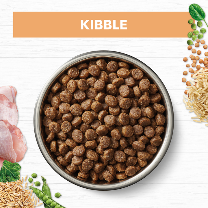 Ivory Coat Chicken & Brown Rice Dry Puppy Food