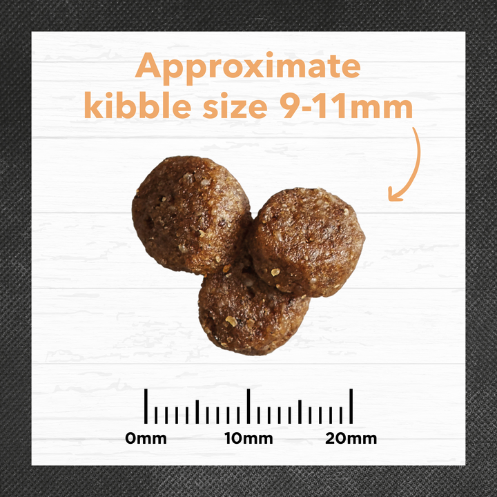 Ivory Coat Chicken & Brown Rice Dry Puppy Food