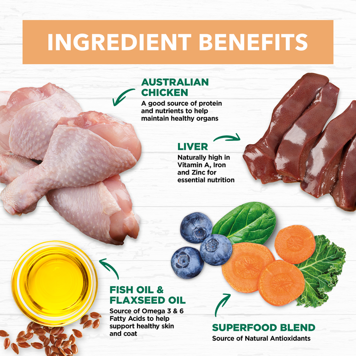 Ivory Coat Grain Free Chicken in Gravy Wet Kitten Food, 12x85g