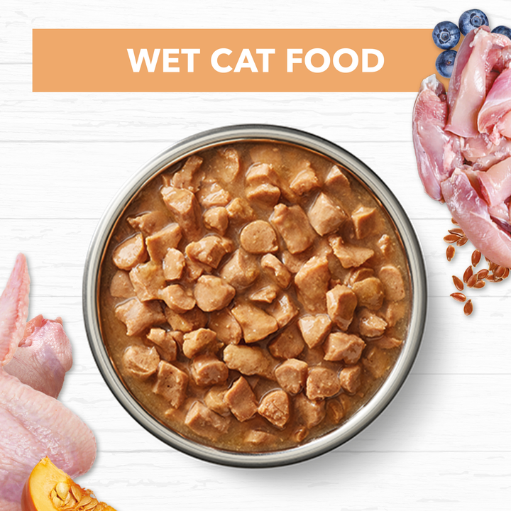 Ivory Coat Grain Free Chicken in Gravy Wet Kitten Food, 12x85g