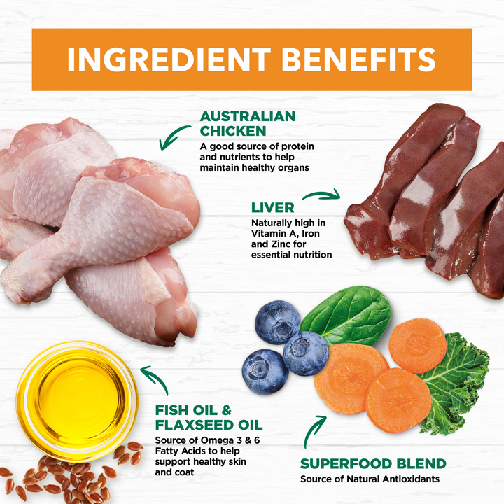 Ivory Coat Grain Free Chicken in Gravy Wet Cat Food, 12x85g