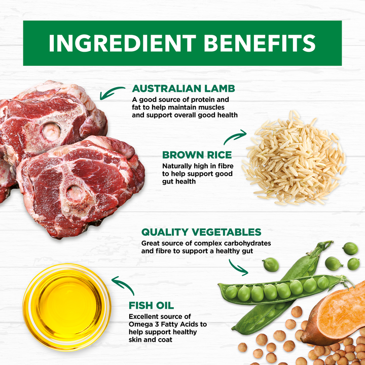 Ivory Coat Lamb & Brown Rice Loaf Wet Dog Food 12x400g