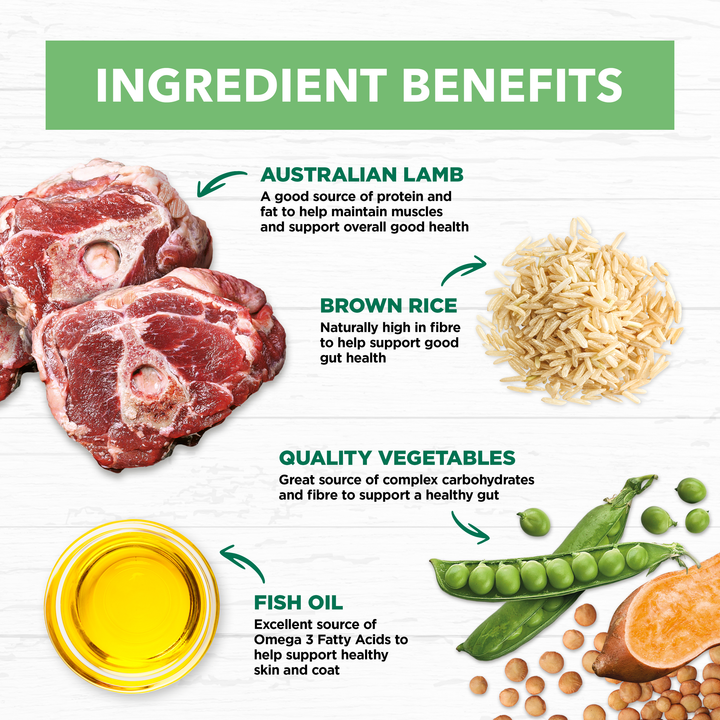 Ivory Coat Lamb & Brown Rice Loaf Wet Puppy Food 12x400g