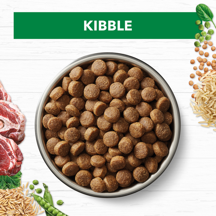 Ivory Coat Lamb and Brown Rice Dry Dog Food