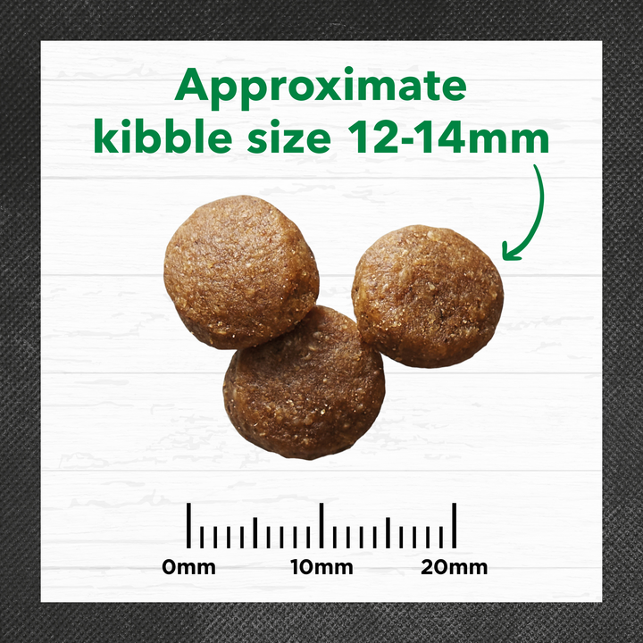 Ivory Coat Lamb and Brown Rice Dry Dog Food