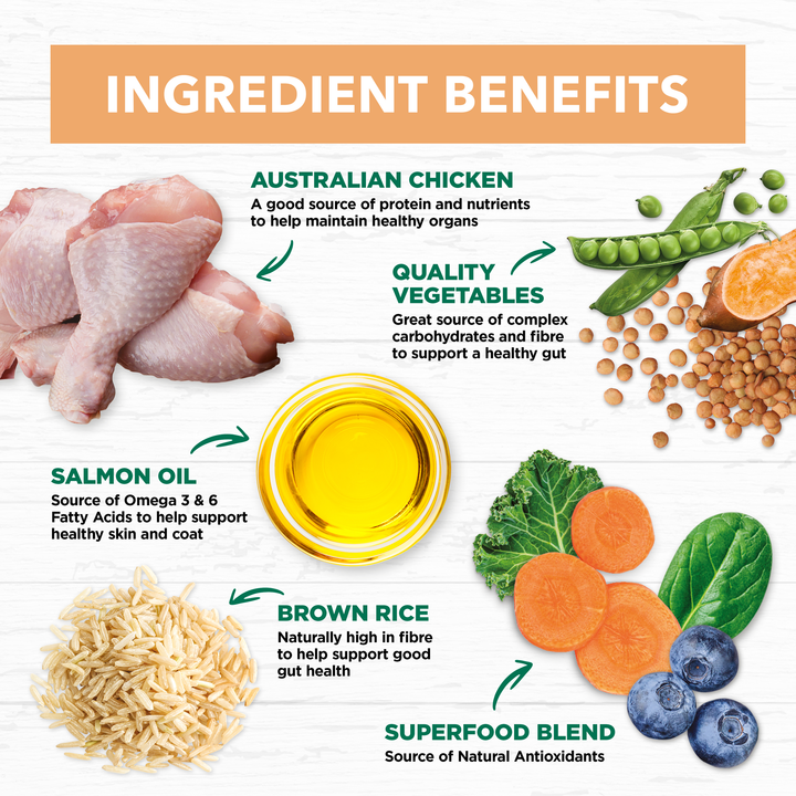 Ivory Coat Chicken & Brown Rice Dry Puppy Food