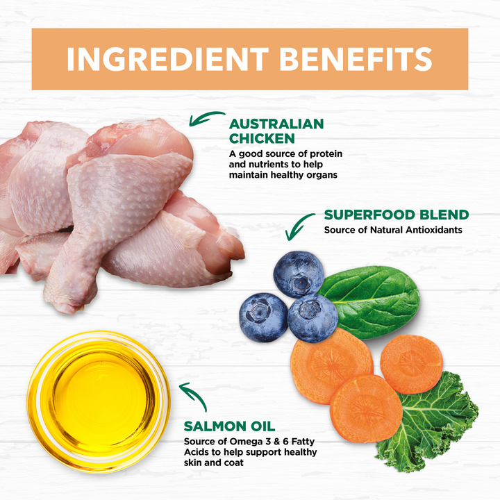 Ivory Coat Kitten Chicken Grain Free Dry Food