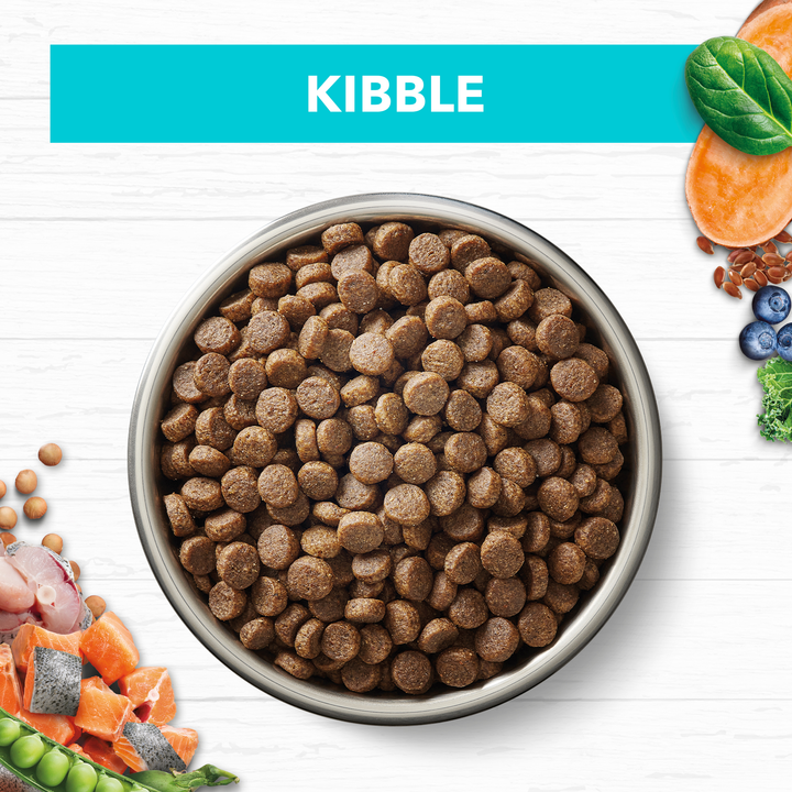 Ivory Coat Kitten Grain Free Ocean Fish & Salmon