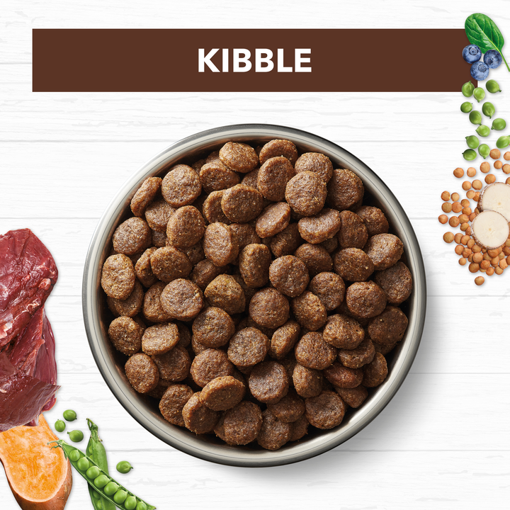 Ivory Coat Lamb & Kangaroo Grain Free Dry Dog Food