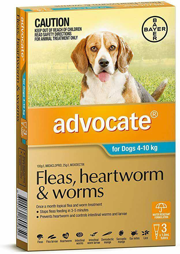 Advocate Fleas, Heartworm & Worms For Dogs 4 - 10kg - Just For Pets Australia