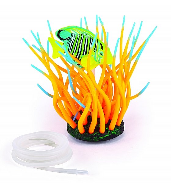 Kazoo Silicone Plant - Fluro Anemone Medium Striped Surgeonfish & Air - Just For Pets Australia