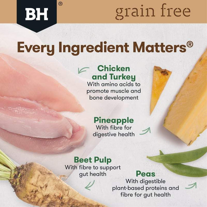 Black Hawk Grain Free Adult Cat Chicken & Turkey Dry Food - Just For Pets Australia