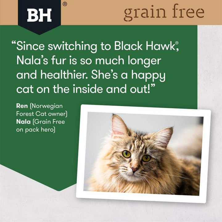 Black Hawk Grain Free Adult Cat Chicken & Turkey Dry Food - Just For Pets Australia