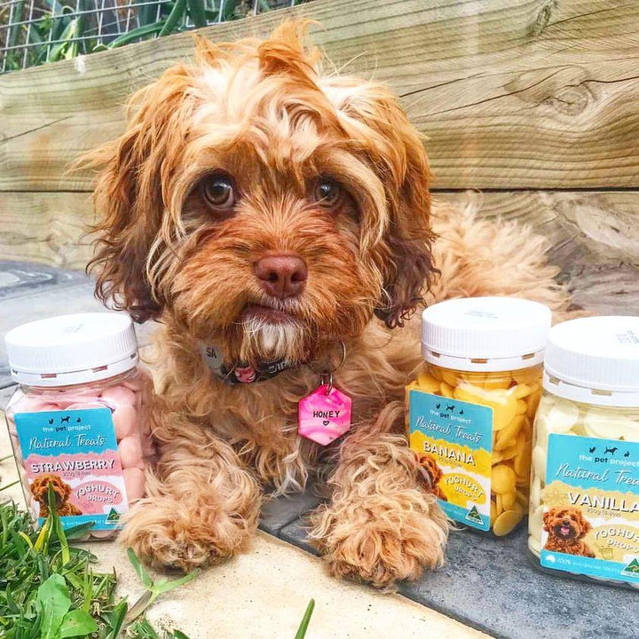 The Pet Project Yoghurt Drops 250g - Just For Pets Australia