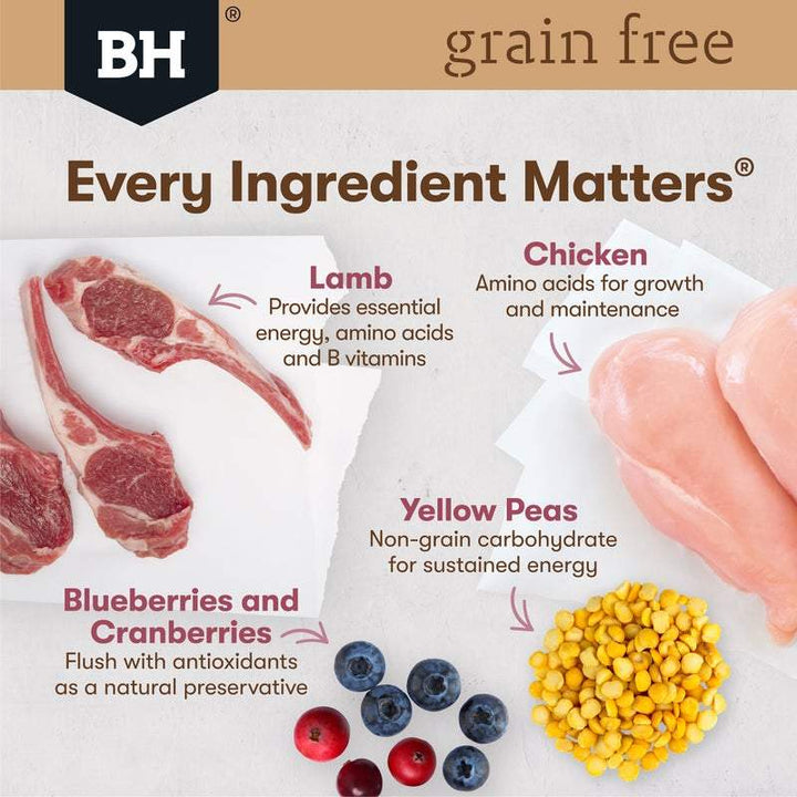 Black Hawk Grain Free Adult Chicken With Lamb In Jelly Wet Cat Food Pouches 85G - Just For Pets Australia