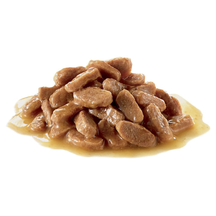 Royal Canin Kitten Gravy, 12x85g - Just For Pets Australia