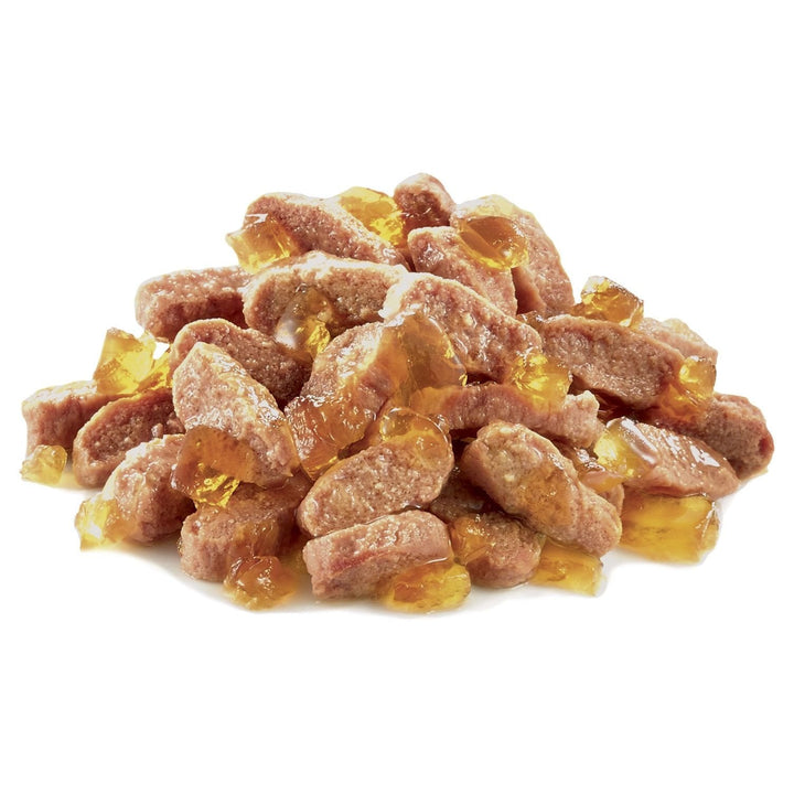 Royal Canin Kitten Jelly, 12x85g - Just For Pets Australia