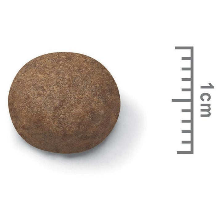 Royal Canin Medium Puppy - Just For Pets Australia