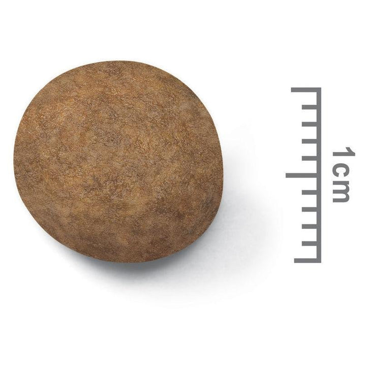 Royal Canin Maxi Puppy - Just For Pets Australia