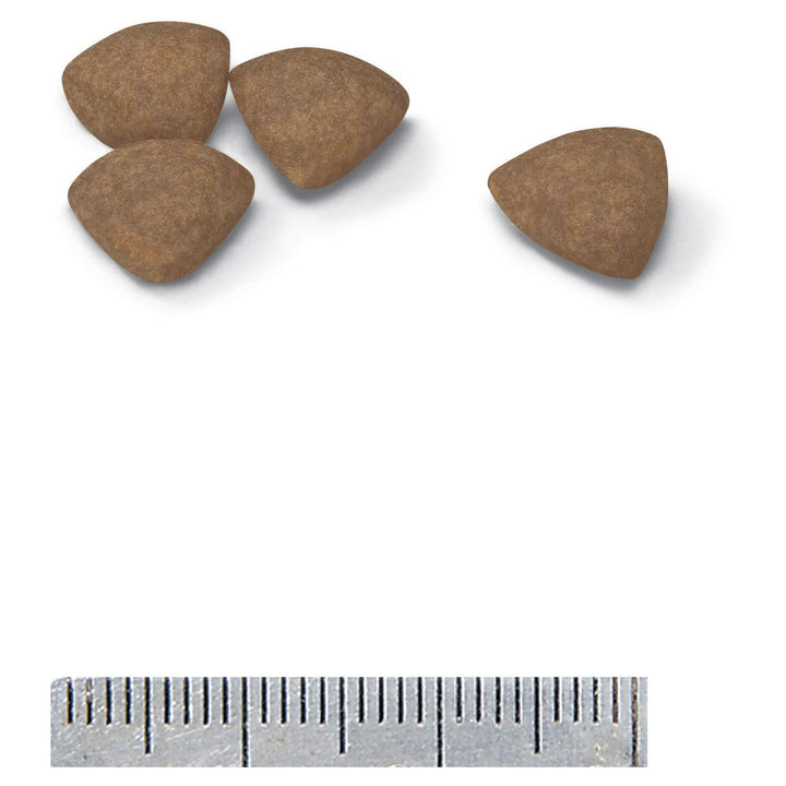 Royal Canin Mini Puppy - Just For Pets Australia