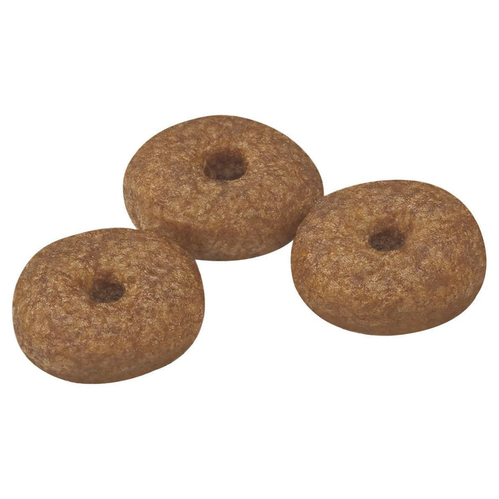 Royal Canin Mini Ageing 12+ 1.5kg - Just For Pets Australia