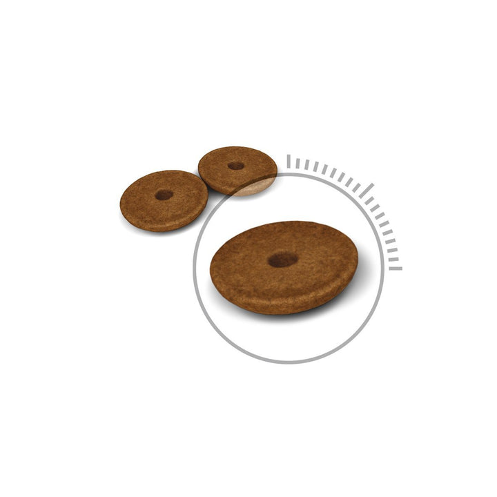 Royal Canin® Digestive Care - Just For Pets Australia