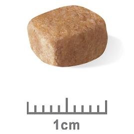 Royal Canin Dachshund Puppy 1.5kg - Just For Pets Australia