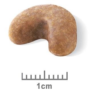 Royal Canin French Bulldog Puppy 3kg - Just For Pets Australia