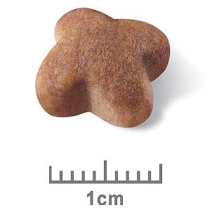 Royal Canin Jack Russell Terrier Adult 3kg - Just For Pets Australia