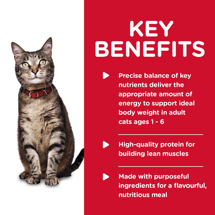 Hill's Science Diet Adult Tender Chicken Dinner Canned Cat Food, 156g, 24 Pack - Just For Pets Australia