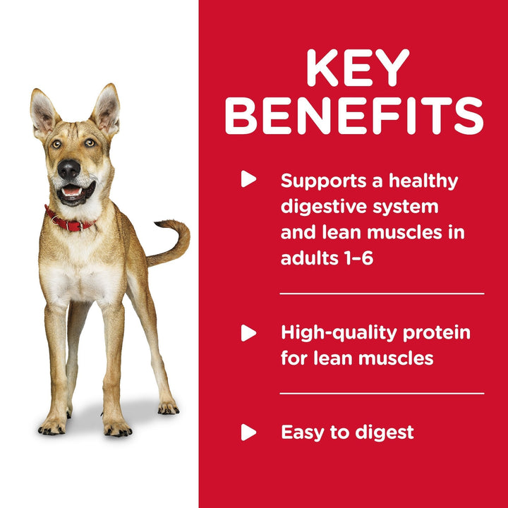 Hills Science Diet Adult Savory Stew Beef & Vegetables Canned Dog Food, 363g, 12 Pack - Just For Pets Australia