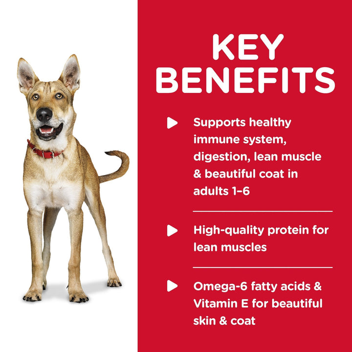 Hill's Science Diet Adult Chicken & Barley Entrée Canned Dog Food, 370g, 12 Pack - Just For Pets Australia