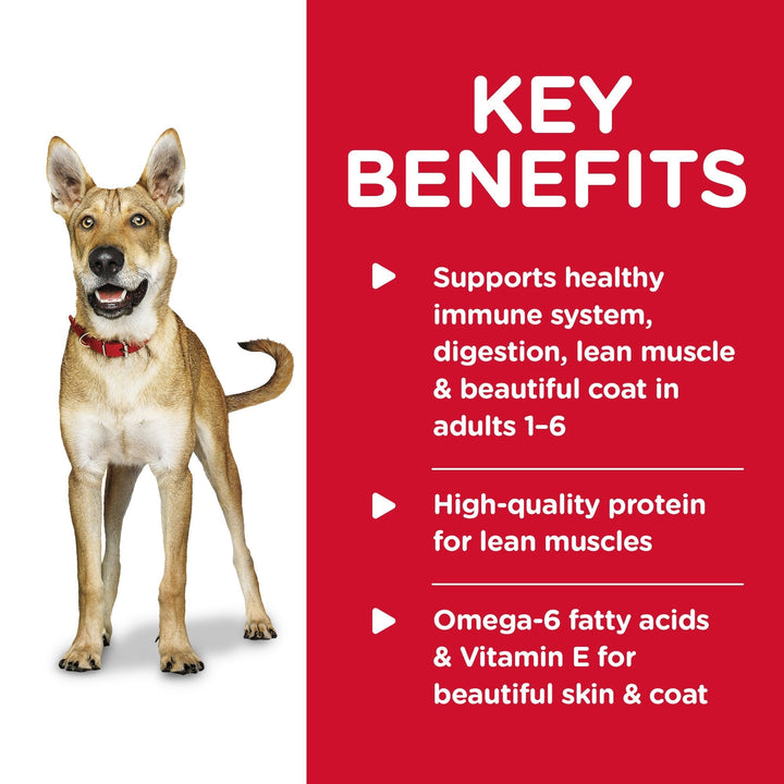 Hills Science Diet Adult Beef & Barley Entrée Canned Dog Food, 370g, 12 Pack - Just For Pets Australia