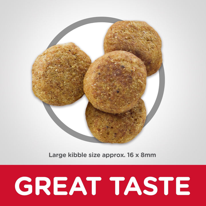 Hill's Science Diet Adult Light Large Breed Dry Dog Food 12kg - Just For Pets Australia