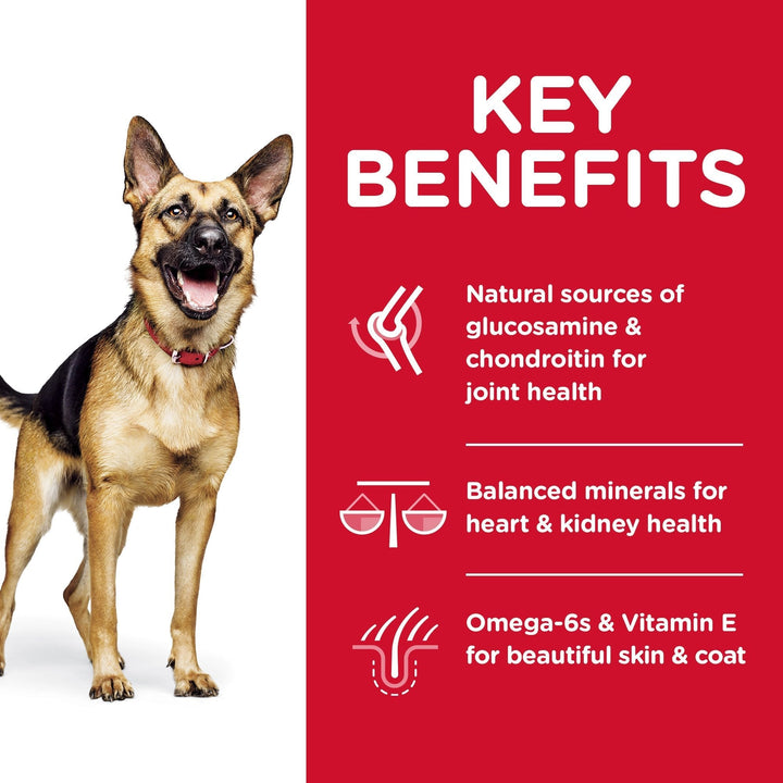 Hill's Science Diet Adult 6+ Large Breed Senior Dry Dog Food 12kg - Just For Pets Australia