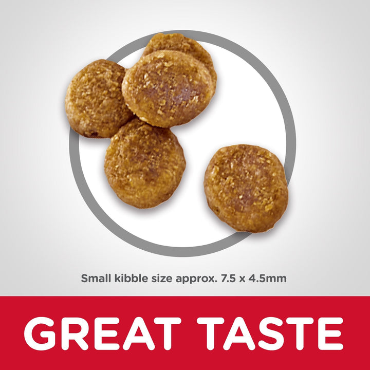 Hill's Science Diet Adult Perfect Weight Small & Mini Dry Dog Food - Just For Pets Australia