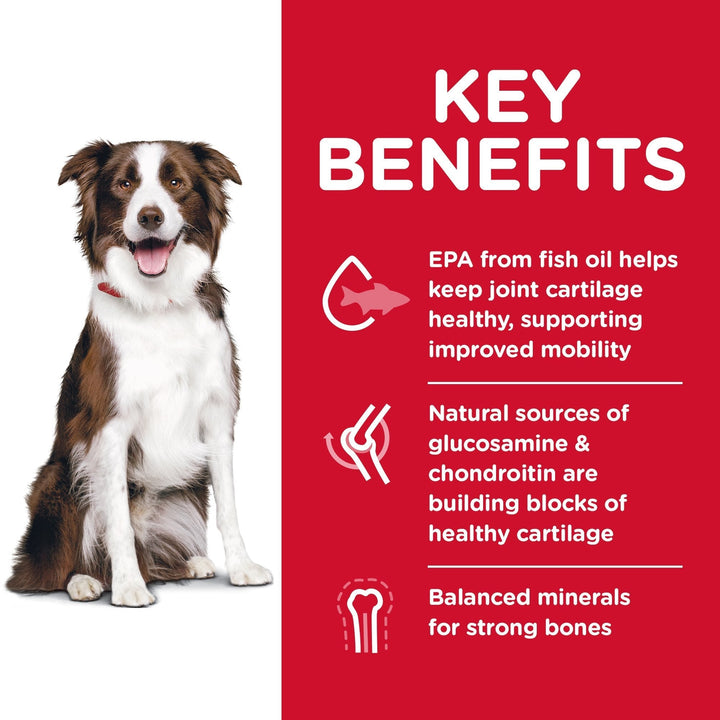 Hill's Science Diet Adult Healthy Mobility Large Breed Dry Dog Food 12kg - Just For Pets Australia