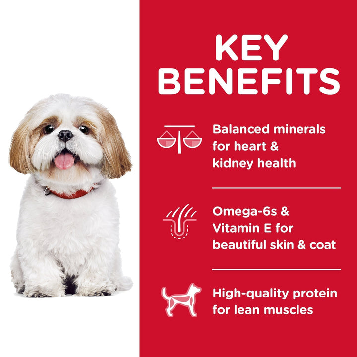 Hill's Science Diet Adult 7+ Small Bites Senior Dry Dog Food 2kg - Just For Pets Australia