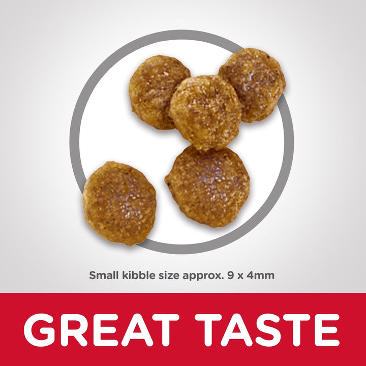 Hill's Science Diet Adult Small Bites Dry Dog Food - Just For Pets Australia