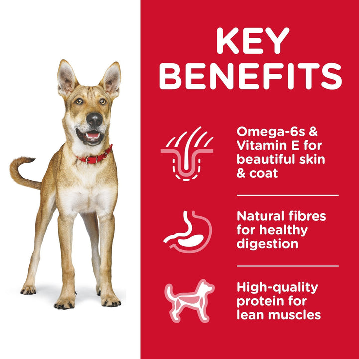 Hill's Science Diet Adult Dry Dog Food - Just For Pets Australia