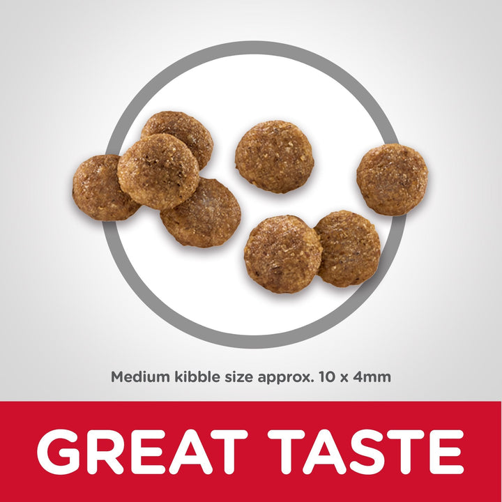 Hill's Science Diet Puppy Dry Dog Food - Just For Pets Australia