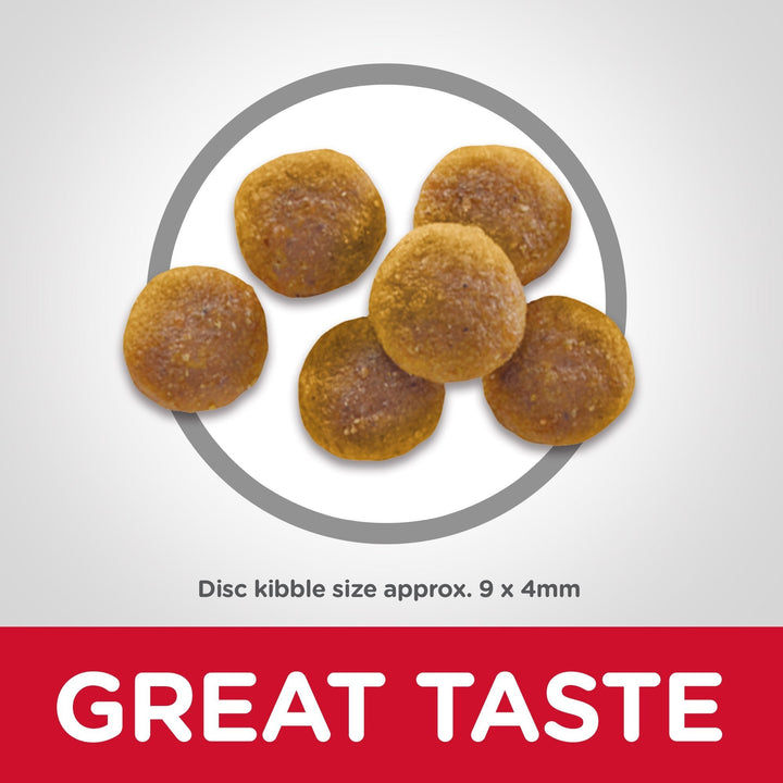 Hill's Science Diet Adult Dry Cat Food - Just For Pets Australia